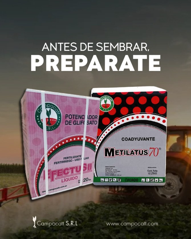 Publicación de Campocatt en Instagram