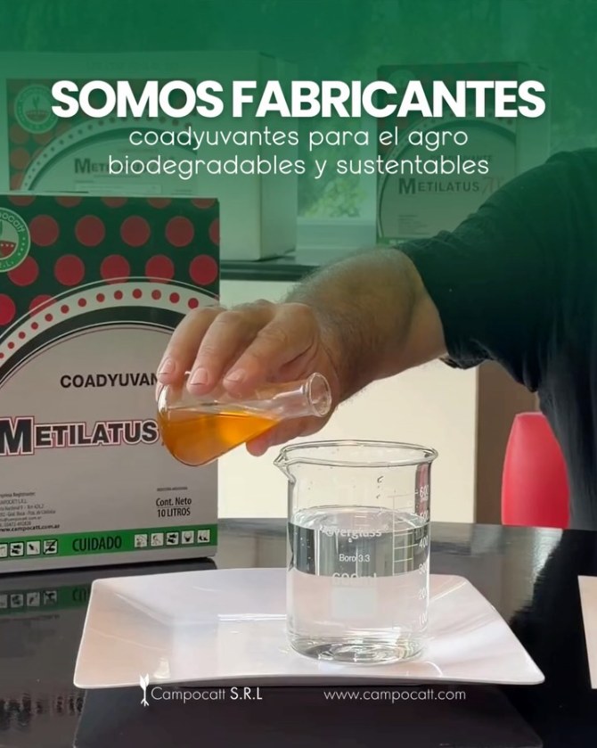 Publicación de Campocatt en Instagram