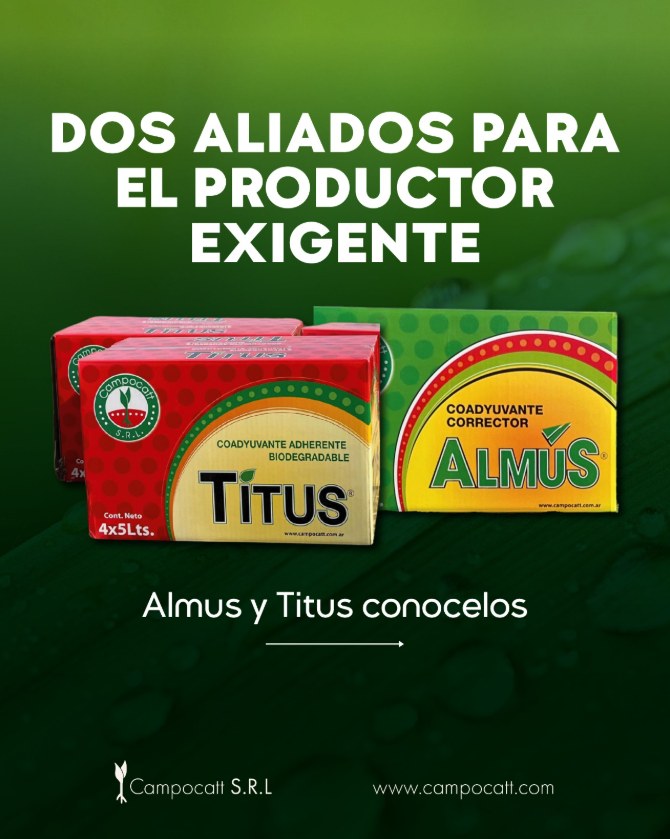 Publicación de Campocatt en Instagram